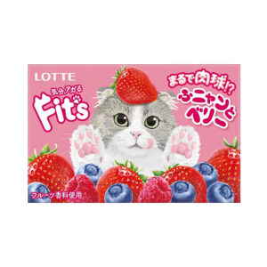 Жевательная резинка FIT`S Funny&Berry ягодная Lotte 24,6гр., Япония