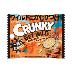 Шоколадное драже с хрустящим печеньем и солёной карамелью Crunky Get Wild Lotte 35гр., Япония
